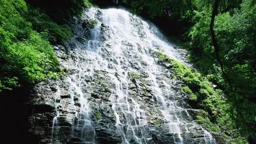 高性能智能绿色